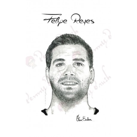 LAMINA FELIPE REYES