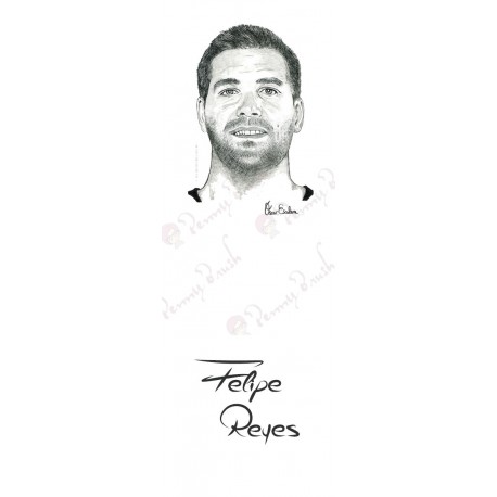 MARCAPAGINAS FELIPE REYES