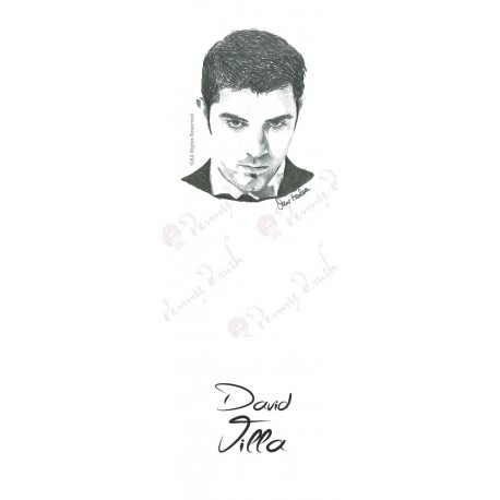 MARCAPAGINAS DAVID VILLA