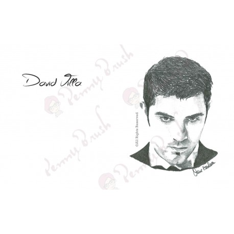 TARJETA POSTCARD DAVID VILLA