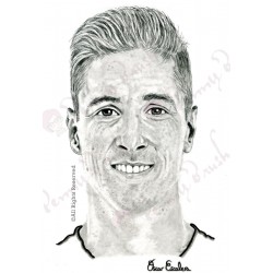 CARBONCILLO TORRES
